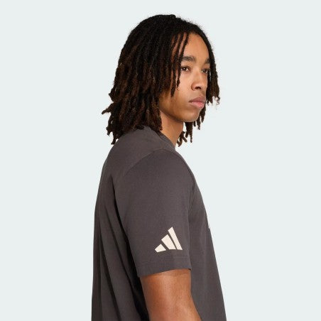 AUDI Revolut F1 Adidas Mens Team DNA Graphic T-Shirt - Anthracite Grey